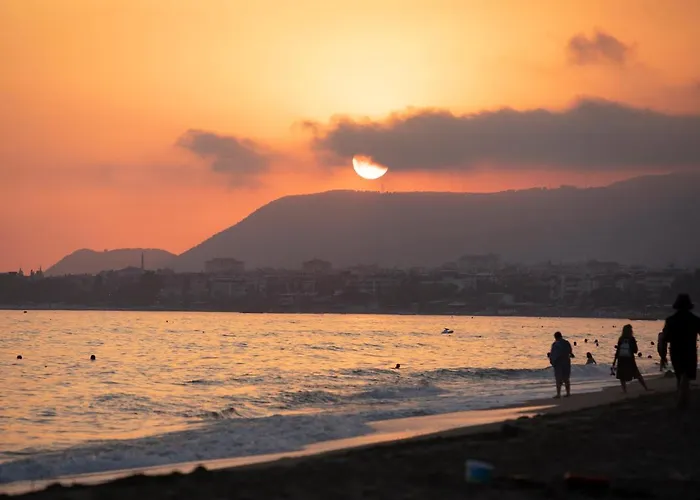 Garden & 酒店 阿拉尼亚