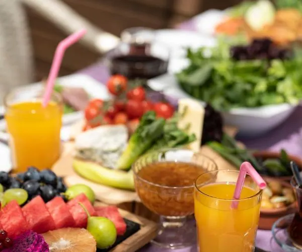 Garden & 阿拉尼亚