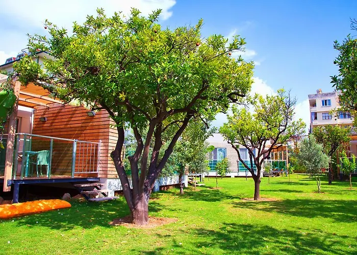 Garden & 5* 阿拉尼亚