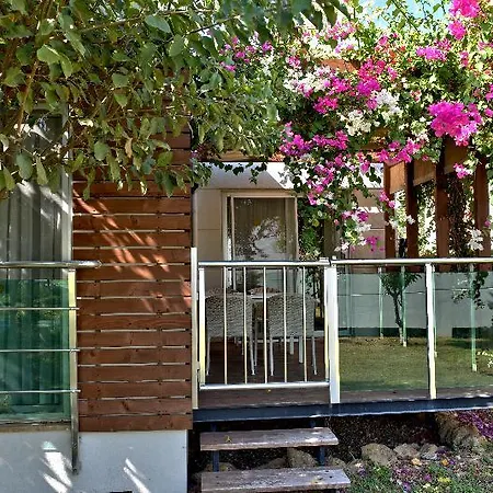Garden & 阿拉尼亚