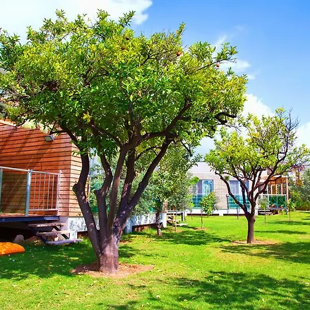 Garden & 5* אלאניה
